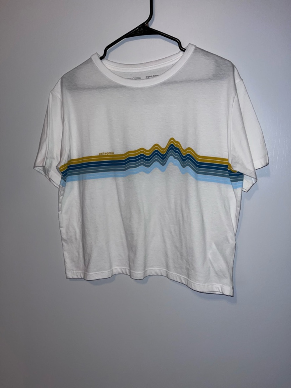 Patagonia White Organic Cotton Tee with Subtle Gray Tag Print